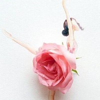 Синицына Юлия